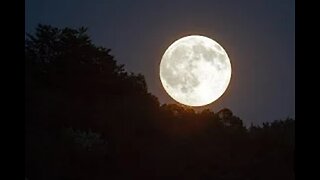 FULL MOON VIDEO HD