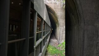 Brush Tunnel on the Western Maryland Scenic RR