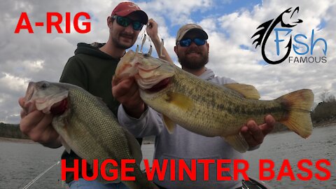FF | Ep. 3 | HUGE Bass CRUSHES An Alabama-Rig! | Tennessee River Fishing