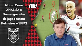 "É IMPORTANTE OBSERVAR no Flamengo que..." Mauro Cezar FALA TUDO antes de jogos com Palmeiras e SPFC