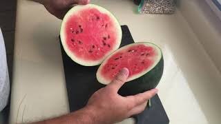 IS YOUR SUGAR BABY WATERMELON RIPE?