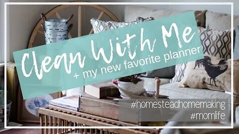 Clean With Me | My New Planner | Mom Life 3.20.19