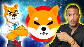 Shiba November Update! Next Pump, Will I Sell & More! #SHIB #CRYPTO