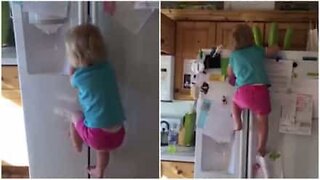 유타에서 촬영된 냉장고를 기어오르는 어린이 영상