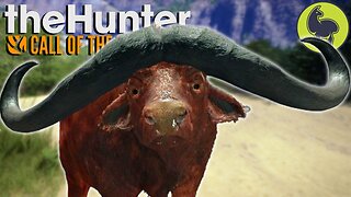 The Elusive DIAMOND Cape Buffalo | theHunter: Call of the Wild (PS5 4K 60FPS)