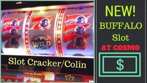 💥New Buffalo Slot Machine At Cosmo with Colin💥