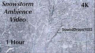 1 Hour of Peace: Gentle Snowfall