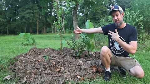 How To Create Your Own Food Forest Island
