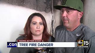 Fire departments discuss Christmas tree fire dangers