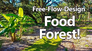 FREE-Style, FREE-Flow Food Forest!! (Follow-Up After 2 Major Hurricanes)