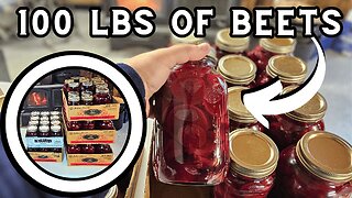 Winter is Coming: Canning Pickled Beets.