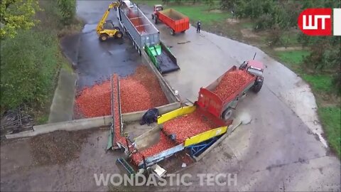 How Apple Juice Is Made In Factory