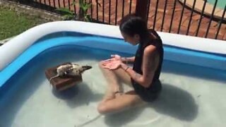 Australsk modell leker med kjæledyrrottene sine i bassenget