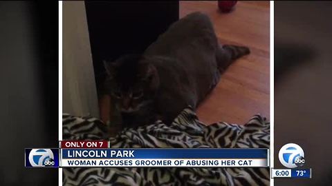 Woman says beloved cat barely able to walk after leaving groomer, suspects abuse