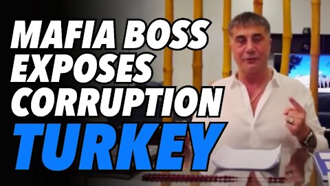 Turkish mafia boss dishes dirt on Erdogan's inner circle via YouTube channel