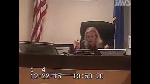 Lavin matter before Clark County Family Court Judge Sandra Pomrenze 12.22.15 1-2