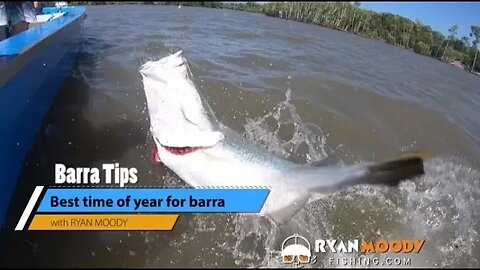 Best time of year to fish for barra