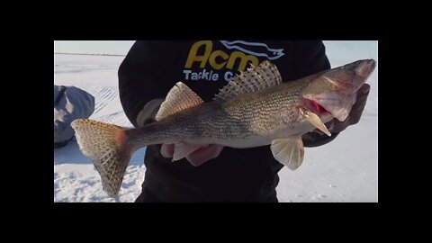 How to Fish the Water Column For Big Walleye
