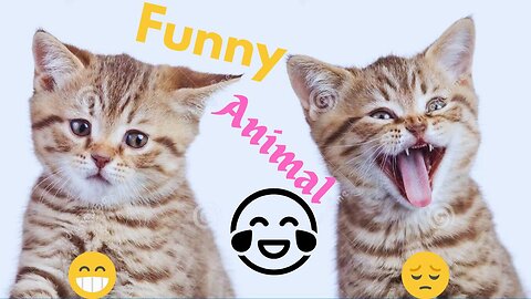 New Funny Animals 😂 Funniest Cats and Dogs Videos 😺🐶