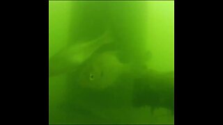 deep water footage (20ft deep)