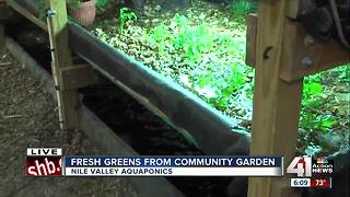Kansas City community garden looking to be first urban agriculture franchising model