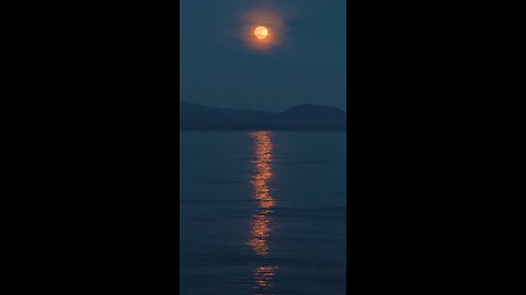 Night view sea water moon