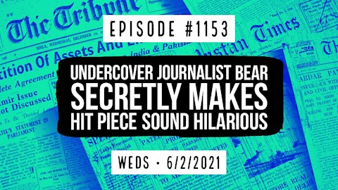 #1153 Undercover Journalist Bear Secretly Makes Hit Piece Sound Hilarious