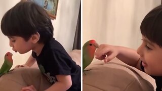 Kid Loves To Play With Sweet & Gentle Parrot