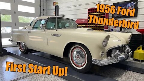 Reviving a ONE OWNER 1956 Ford Thunderbird After Sitting For YEARS!