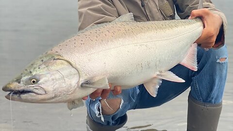 Bank Fishing BIG Rivers For Spring Chinook Salmon