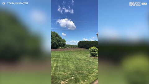 Plane passes dangerously low over Indiana house