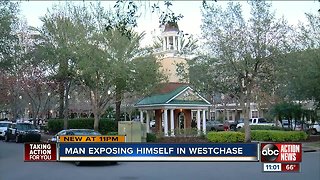 Deputies searching for man accused of exposing himself to women in Westchase area