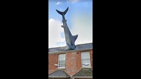 Shark House | Google Earth Travel