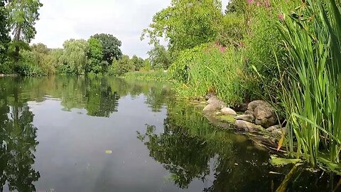 Lake. Kew Gardens London GoPro 11th July 2023