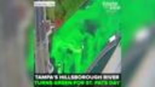 Tampa’s Hillsborough River dyed green for annual St. Patrick’s Day celebration | Taste and See Tampa Bay