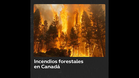 Miles de personas son evacuadas por incendios forestales en Canadá