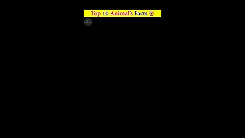 Top 10 animals facts