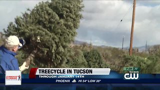 Treecycle in Tucson