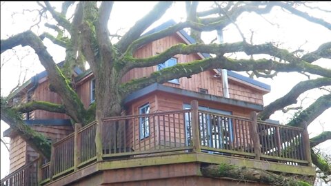 A Tour Inside THE LUXURY TREEHOUSE
