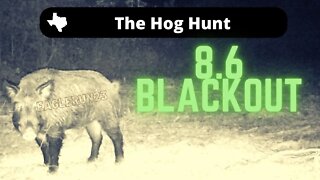 First Hog Hunt with the 8.6 Blackout