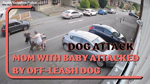 Dog Attack: Mom With Baby Attacked By Off-Leash Dog, How to Defend Against Off-Leash Dog Attack