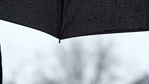 Umbrella rain sounds | ASMR