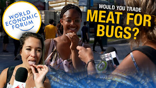 Elites want us to eat bugs: Montrealers take a taste test