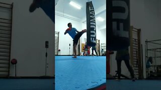 Kick, Punch, Elbow and Knee The Bag (24)