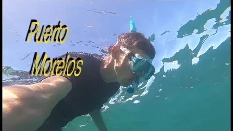 Puerto Morelos Under the Sea