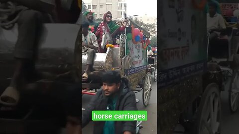 Horse Carriages