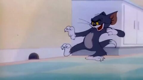 Tom And Jerry Bangla Cartoon New Dubbing Video Funny Tom And Jerry Bangla 8