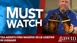 TSA Agents Find Massive 20-lb Lobster In Luggage