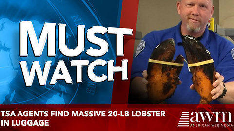 TSA Agents Find Massive 20-lb Lobster In Luggage