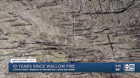 Controversy remains in preventing large wildfires after Wallow Fire